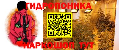 метадон Лесосибирск