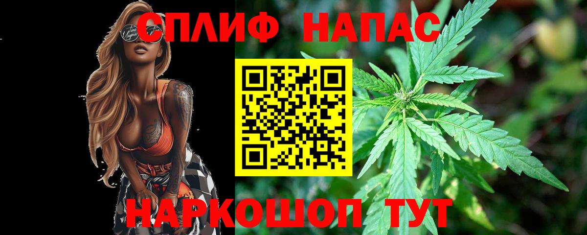 Каннабис OG Kush Дзержинский